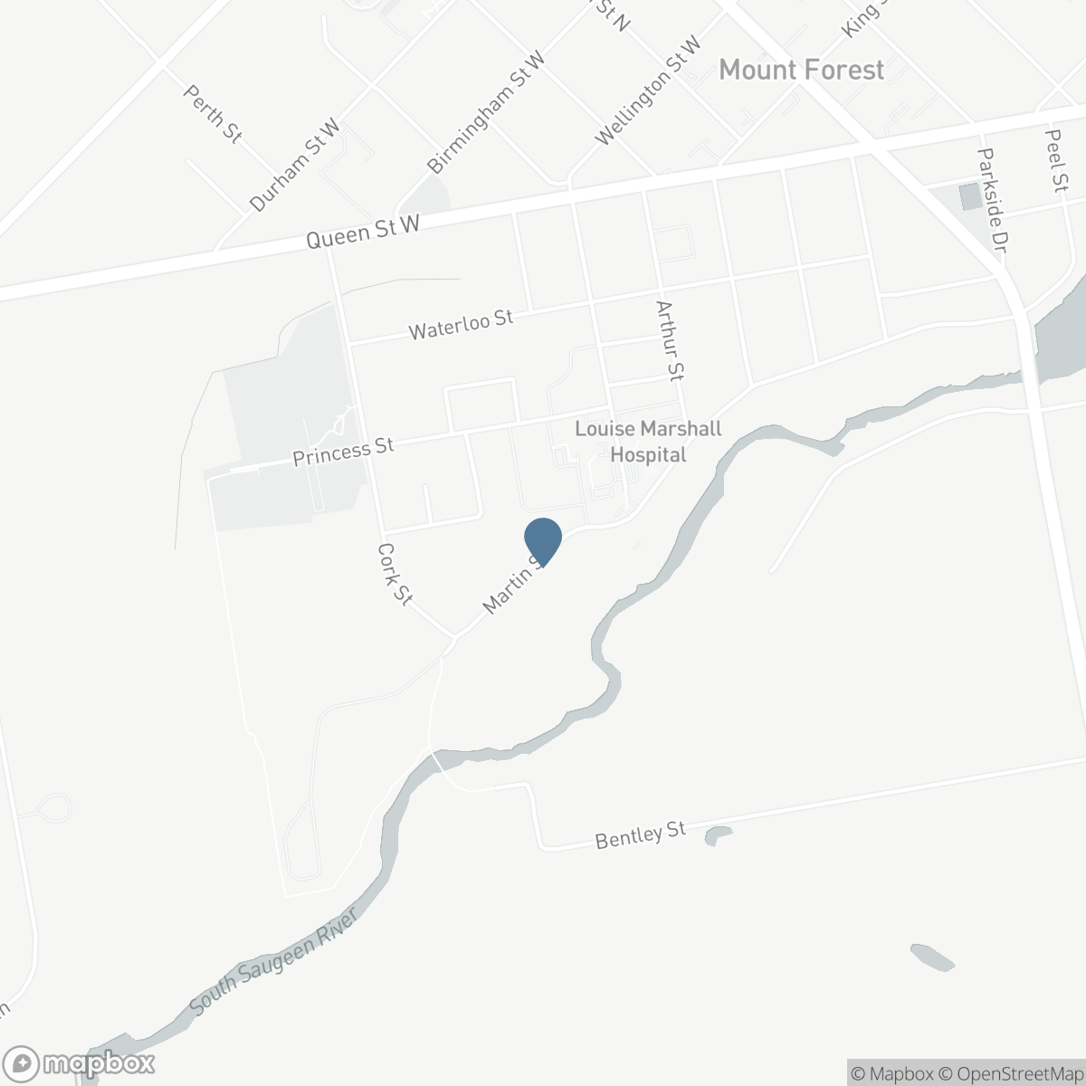 647 MARTIN STREET, Mount Forest, Ontario N0G 2L3